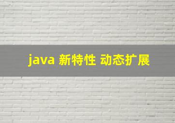 java 新特性 动态扩展